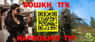 индика Краснознаменск