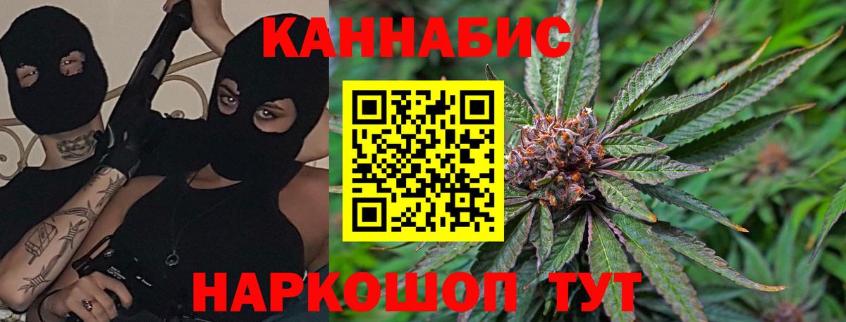 Бошки марихуана тримм  Шишки марихуана MAZAR  Конопля MAZAR  МАРИХУАНА Bruce Banner  Клин  Вход с VPN 